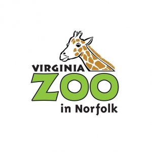 Download Free Educational Activity Sheets From the Virginia Zoo