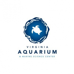 Take a Virtual Field Trip to the Virginia Aquarium, Meet the Animals and Get Virtual Lessons