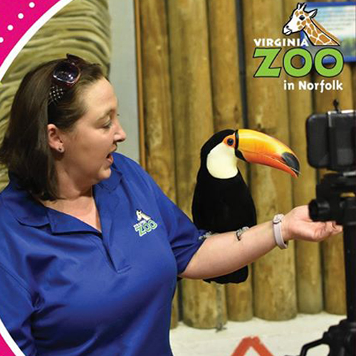 Zoo learning